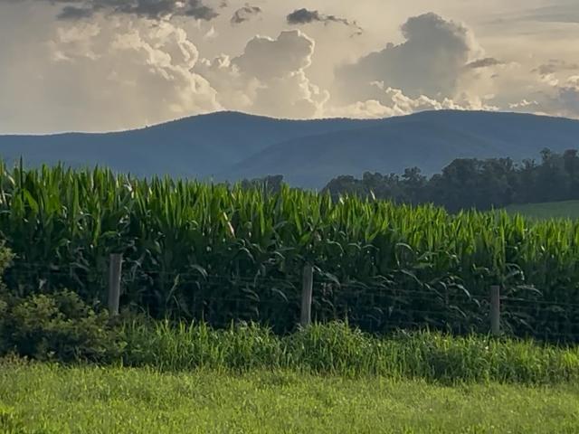 Land for sale in Virginia