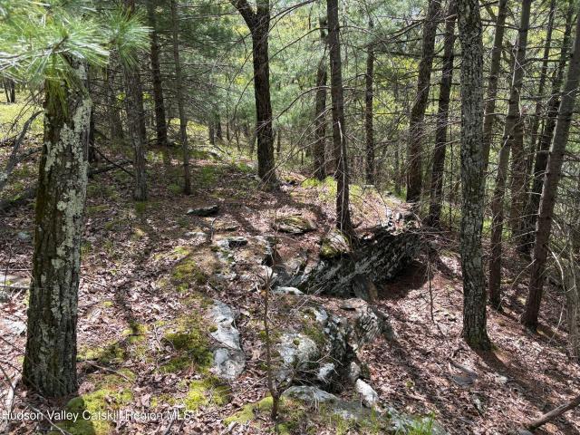Land for sale in Hurley, New York