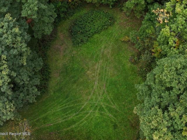Land for sale in Town of Cairo, Greene County