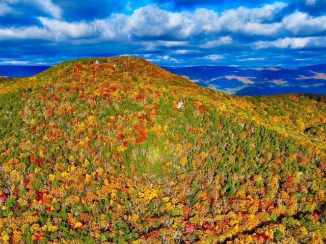 Land for sale in Franklin, West Virginia
