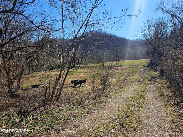Land for sale in Virginia