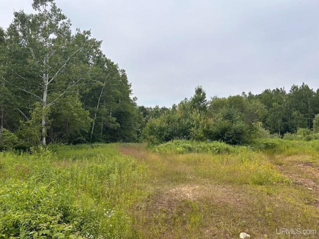 Land for sale in Atlantic Mine
