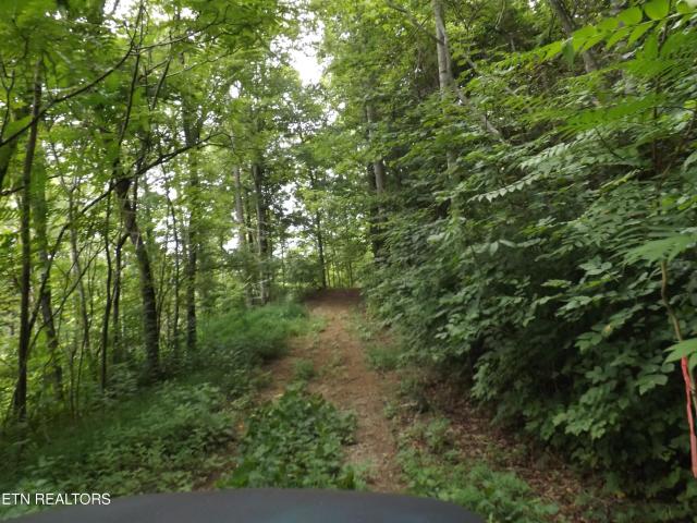 Land for sale in Tennessee