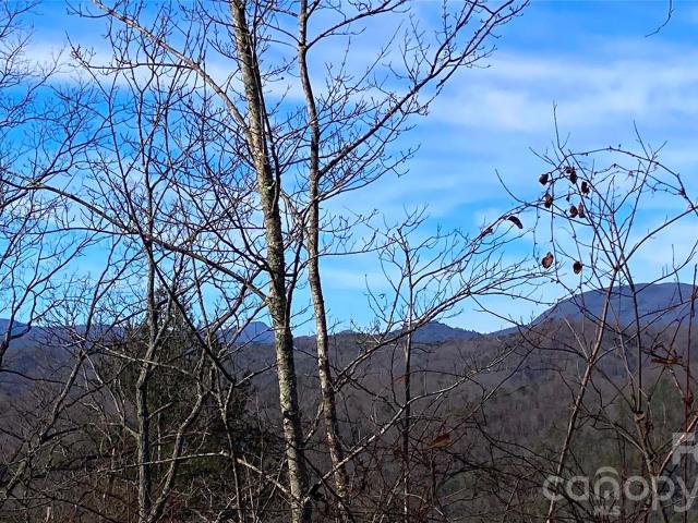 Land for sale in Transylvania, North Carolina
