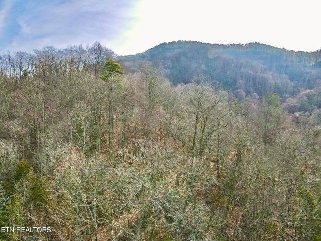 Land for sale in Tennessee