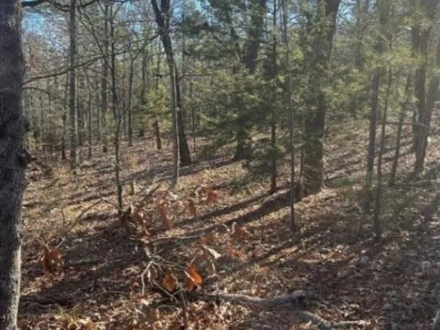 Land for sale in Wilburton, Oklahoma
