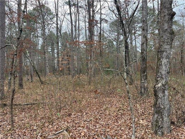 Land for sale in Smithville, McCurtain County
