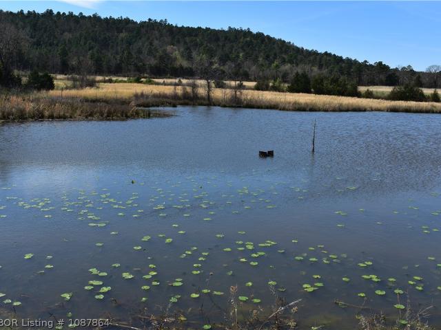 Land for sale in Ark
