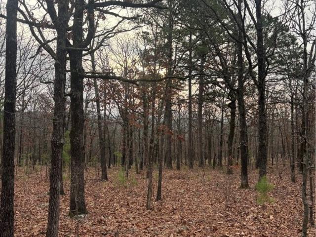 Land for sale in Sallisaw, Oklahoma
