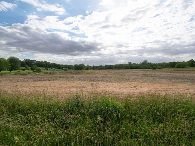 Land for sale in Avilla, Noble County