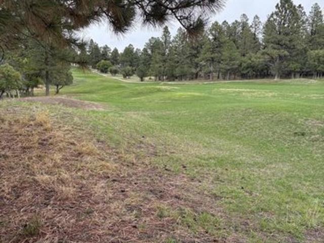 Land for sale in Ridgway, Ouray County