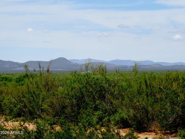 Land for sale in Cochise, Arizona