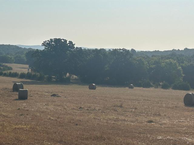 Land for sale in Ark