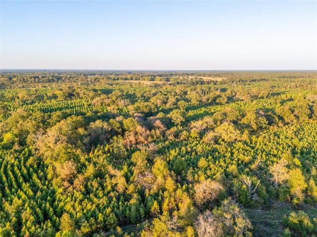 Land for sale in Bagwell, Red River County
