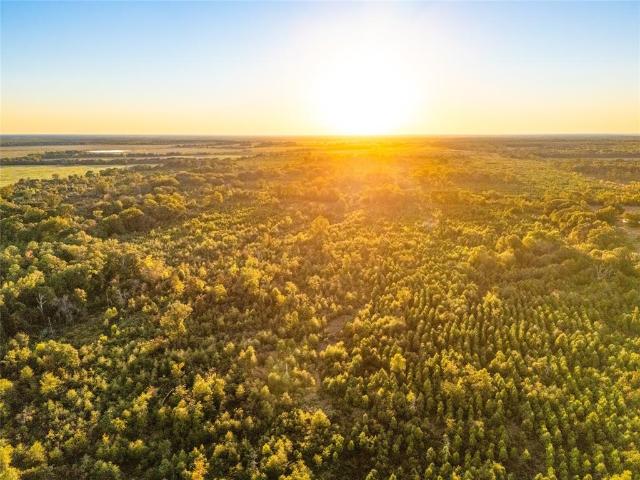 Land for sale in Bagwell, Red River County