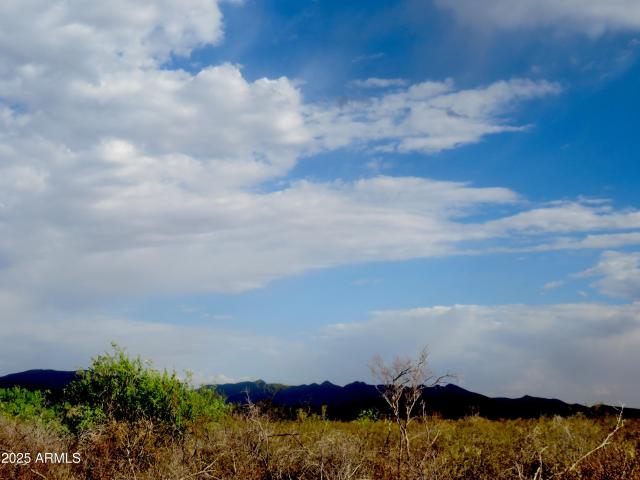 Land for sale in Tombstone