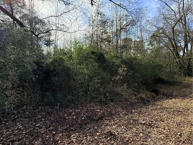 Land for sale in Cornerville, Star City