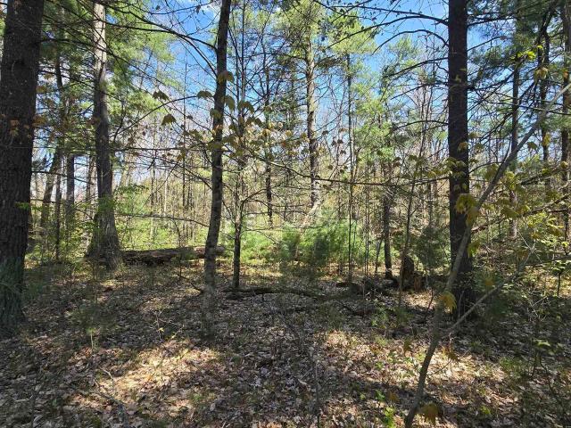 Land for sale in Michigan