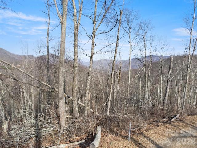 Land for sale in Haywood, North Carolina