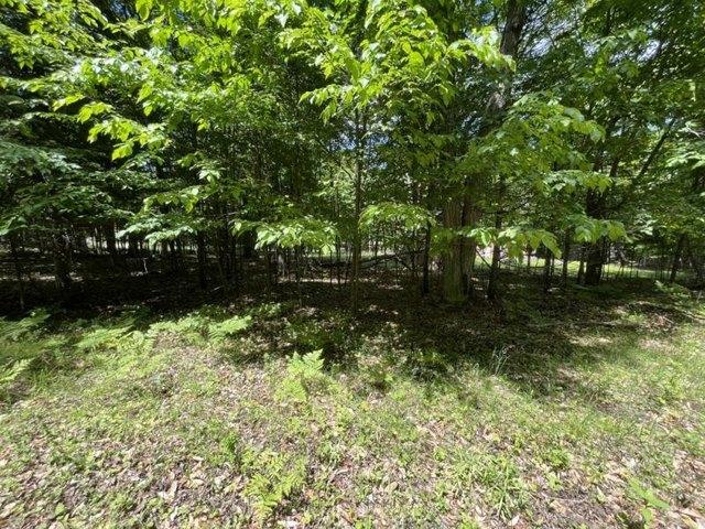 Land for sale in Michigan