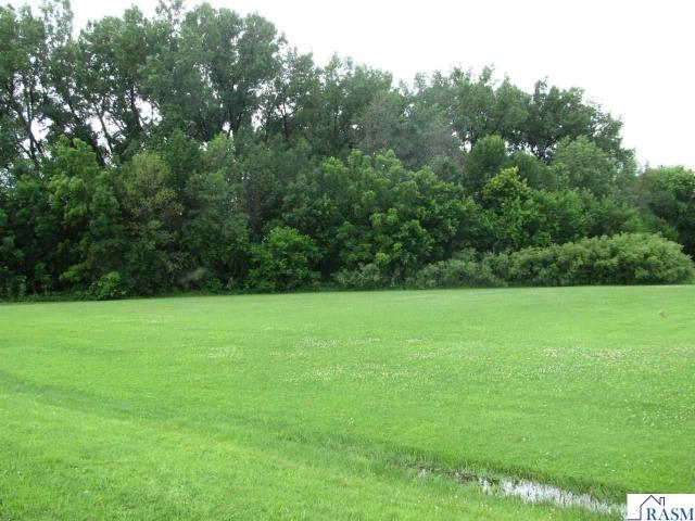 Land for sale in Butterfield, Minnesota