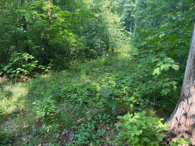 Land for sale in Becker, Minnesota