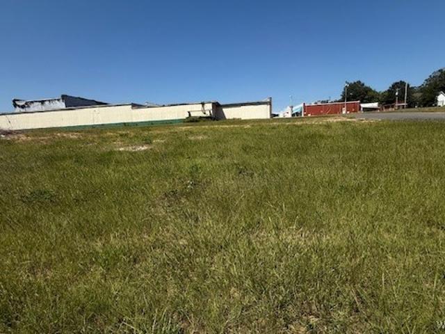 Land for sale in Opp, Alabama