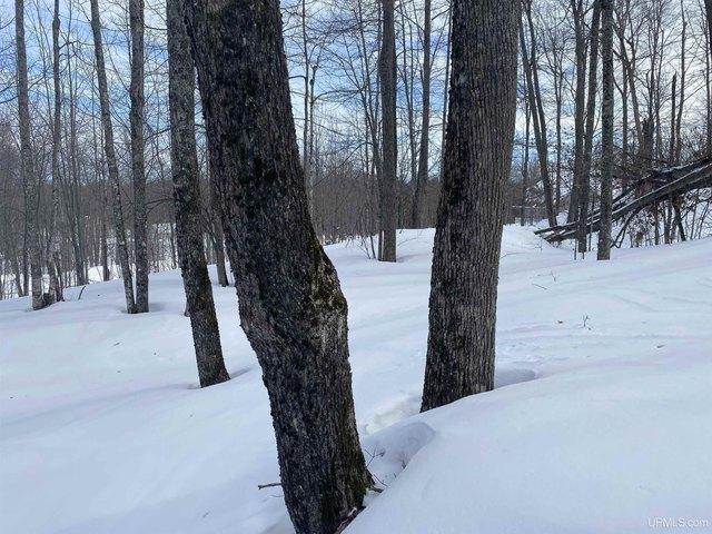 Land for sale in Houghton, Michigan