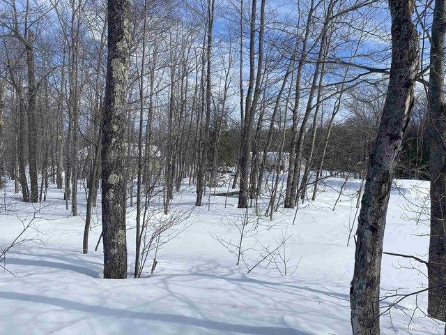 Land for sale in Houghton, Michigan