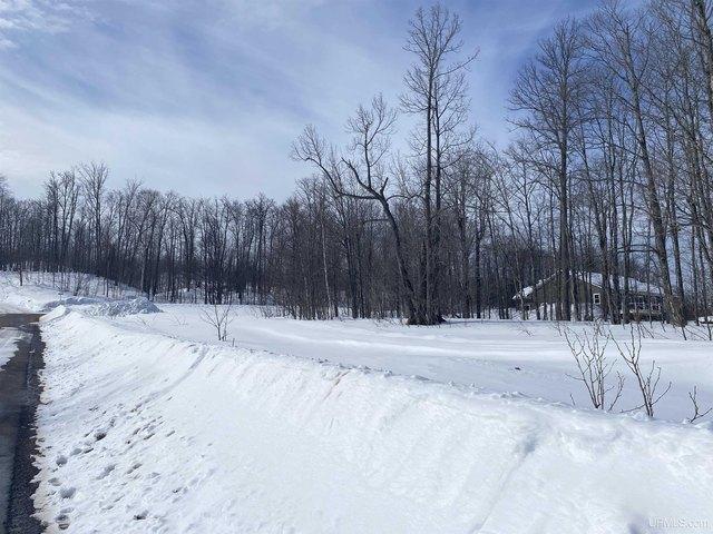 Land for sale in Houghton, Michigan