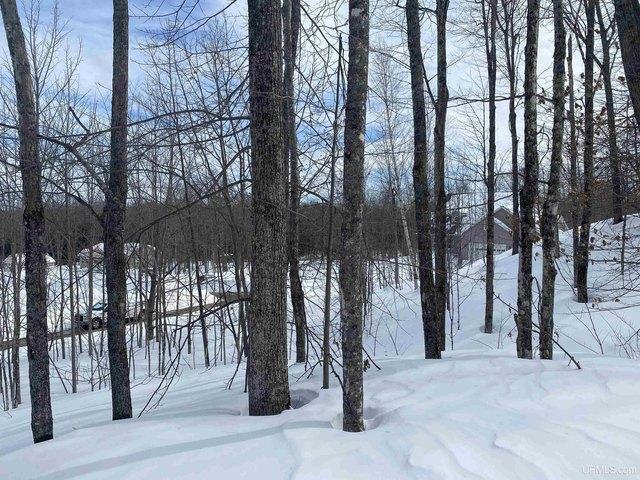 Land for sale in Houghton, Michigan