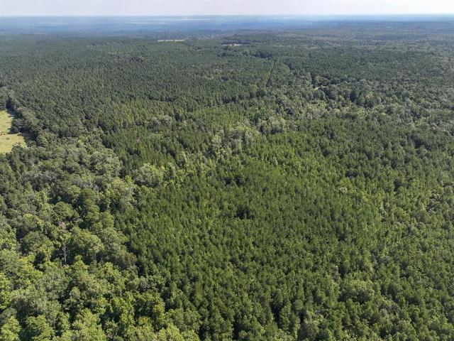 Land for sale in De Soto, Louisiana