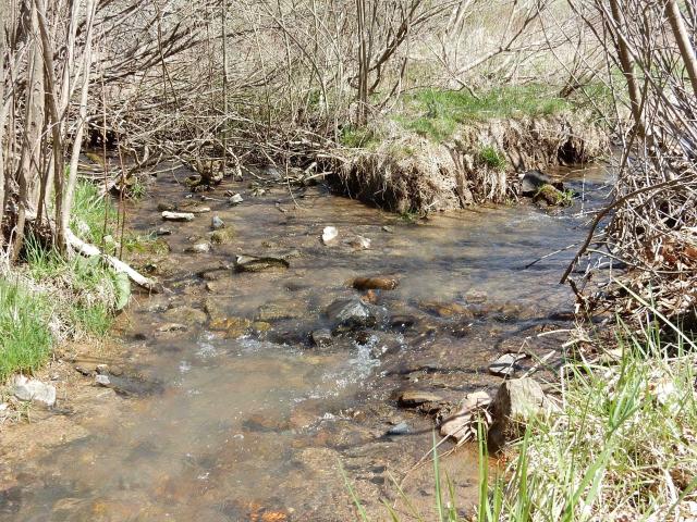 Land for sale in Virginia