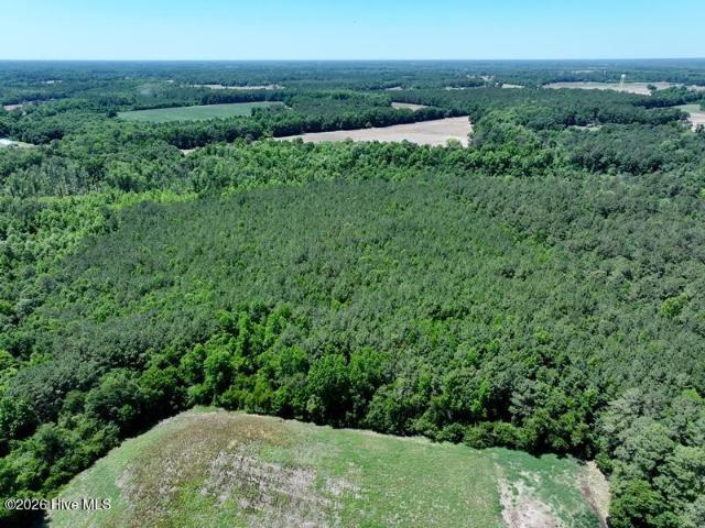 Land for sale in Fairmont, North Carolina