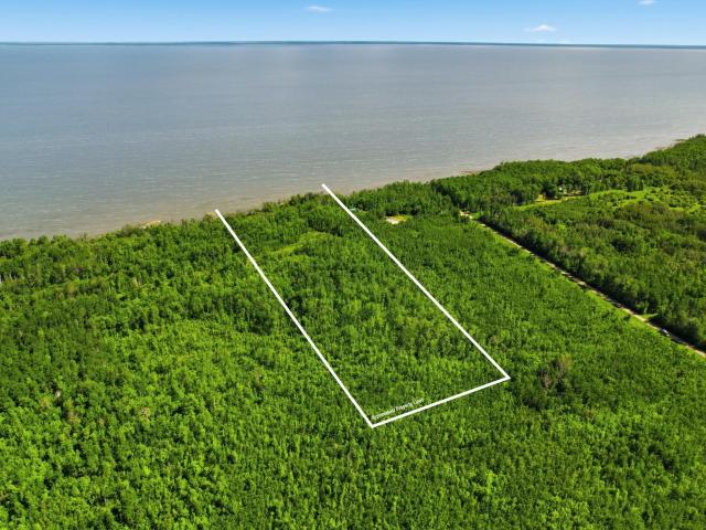 Land for sale in Beltrami, Minnesota