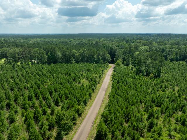Land for sale in Zavalla, Texas