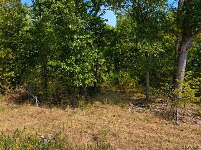 Land for sale in Camdenton, Camden County
