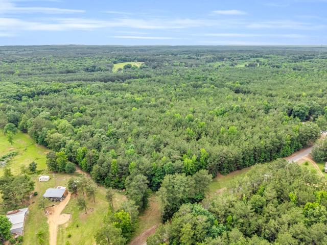 Land for sale in Eupora, Mississippi