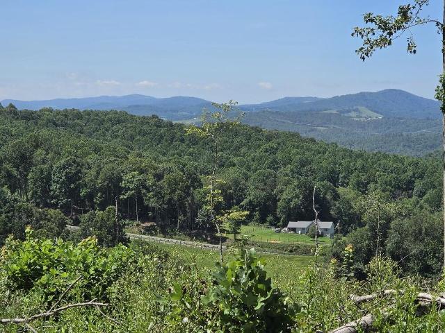 Land for sale in Virginia