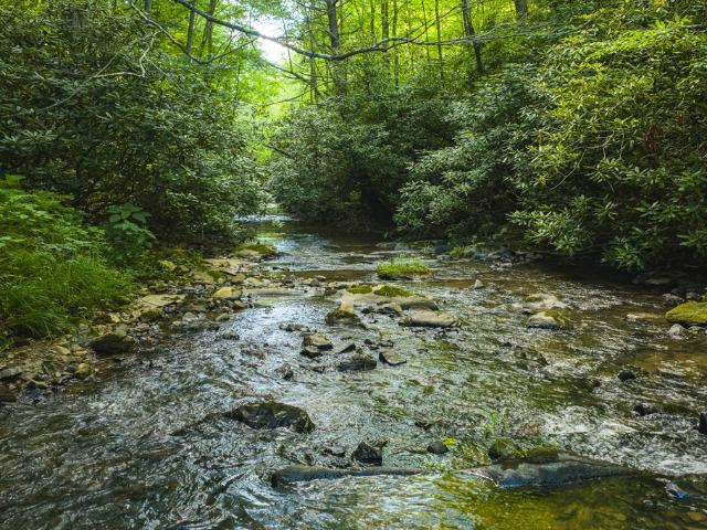 Land for sale in Virginia