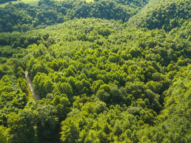 Land for sale in Virginia