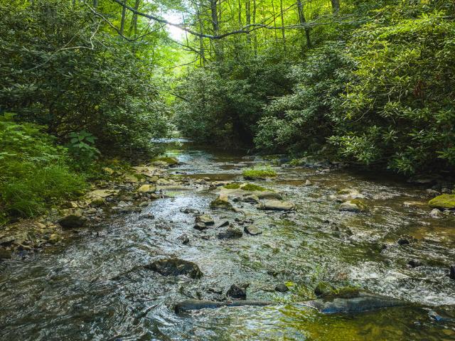 Land for sale in Virginia
