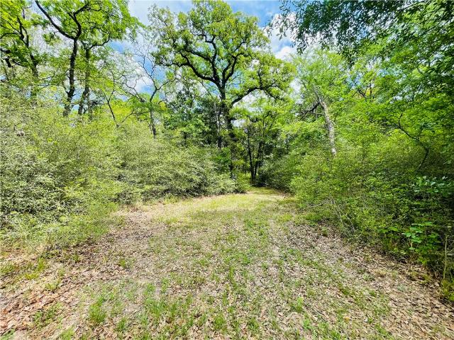Land for sale in Robertson, Texas