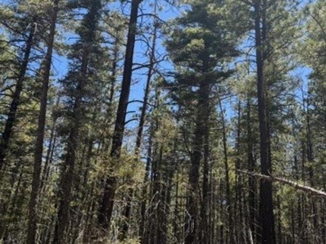 Land for sale in Pecos, New Mexico