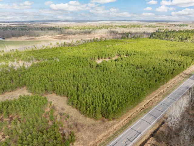 Land for sale in Taconite, Minnesota