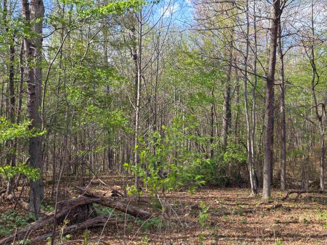 Land for sale in Virginia
