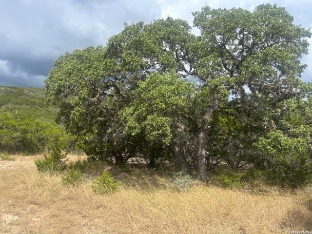 Land for sale in Pipe Creek, Texas