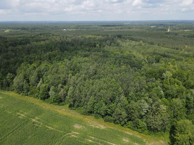 Land for sale in Ogema, Wisconsin