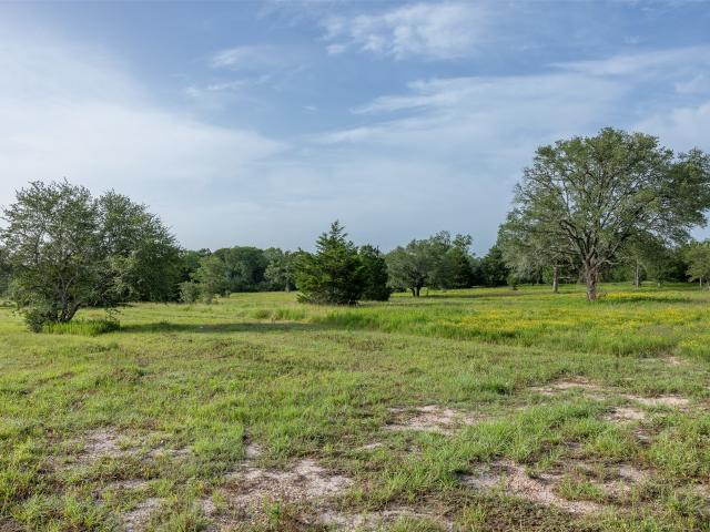 Land for sale in Carmine, Texas