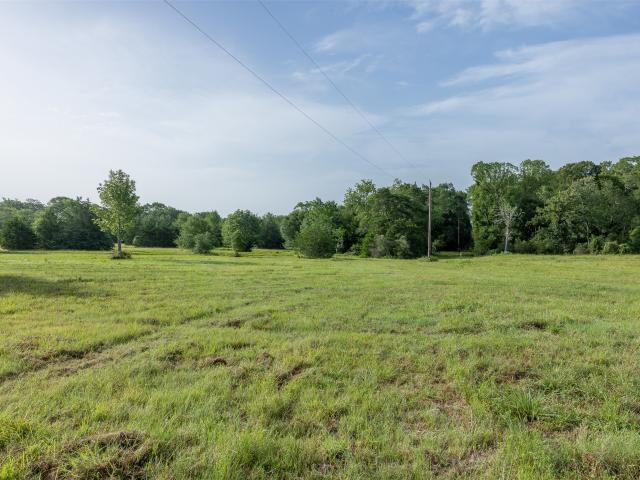 Land for sale in Carmine, Texas